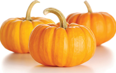 calabaza